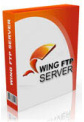 Wing FTP Server Standard Edition