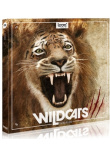Wildcats Wildcats