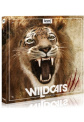 Wildcats