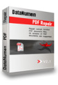 DataNumen PDF Repair DataNumen PDF Repair
