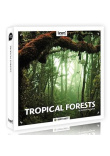 Tropical Forests Tropical Forests