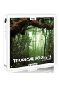 Tropical Forests