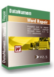 DataNumen Word Repair DataNumen Word Repair
