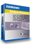 DataNumen Database Recovery