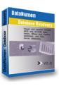 DataNumen Database Recovery DataNumen Database Recovery