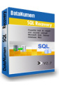 DataNumen SQL Recovery DataNumen SQL Recovery
