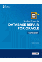 Database Repair Tools