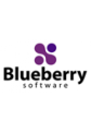 Blueberry FlashBack SDK Basic
