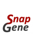 SnapGene SnapGene