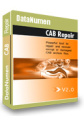 DataNumen CAB Repair DataNumen CAB Repair