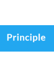Principle Principle