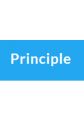 Principle